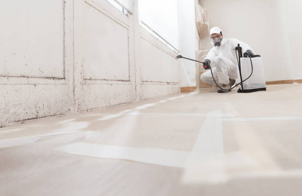 24/7 Emergency Mold Remediation experts in Harleysville, PA