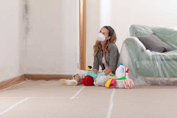 Reliable Mold Remediation contractor in Harleysville, PA by WQB Mold Removal